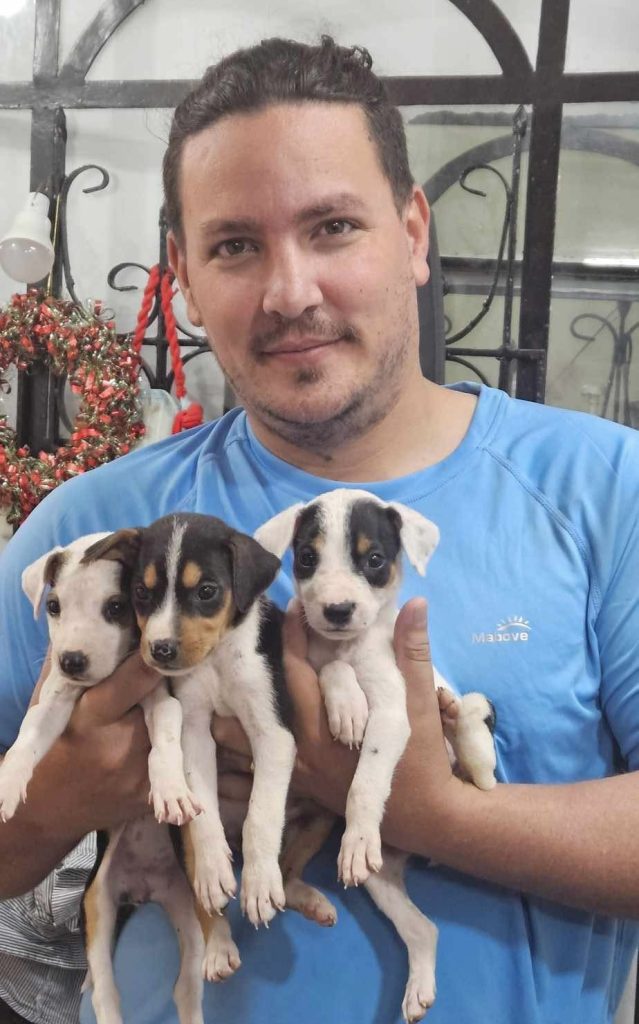 img 2065